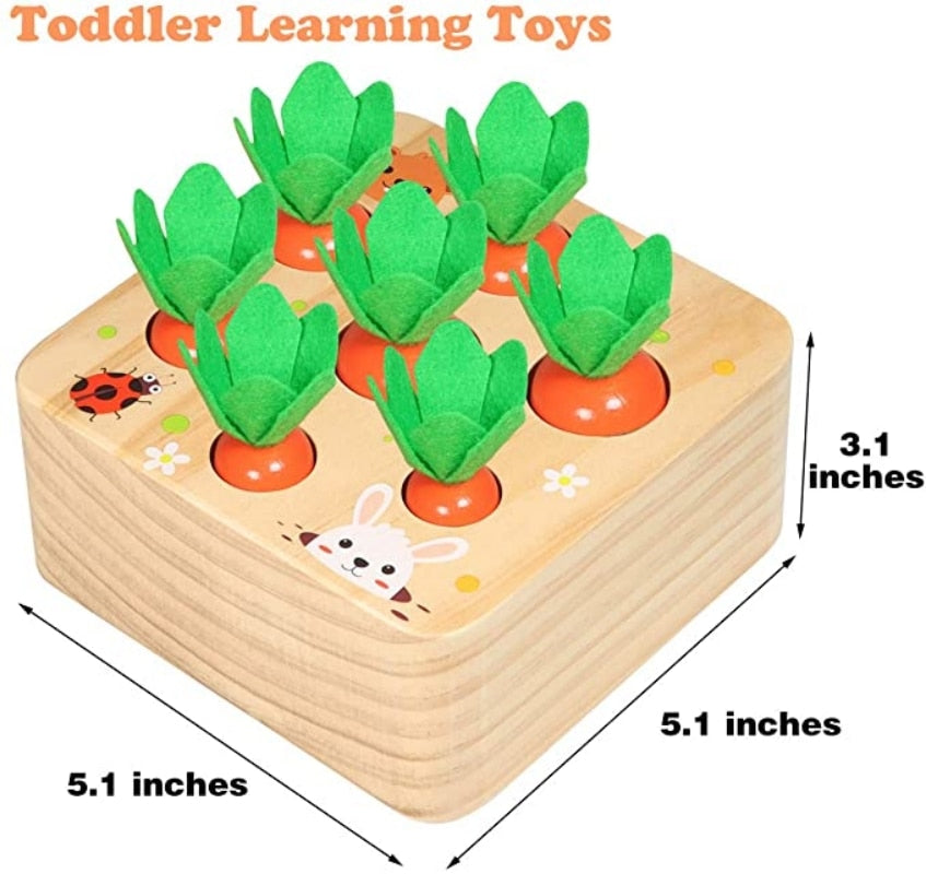 Wooden Toys for Toddlers